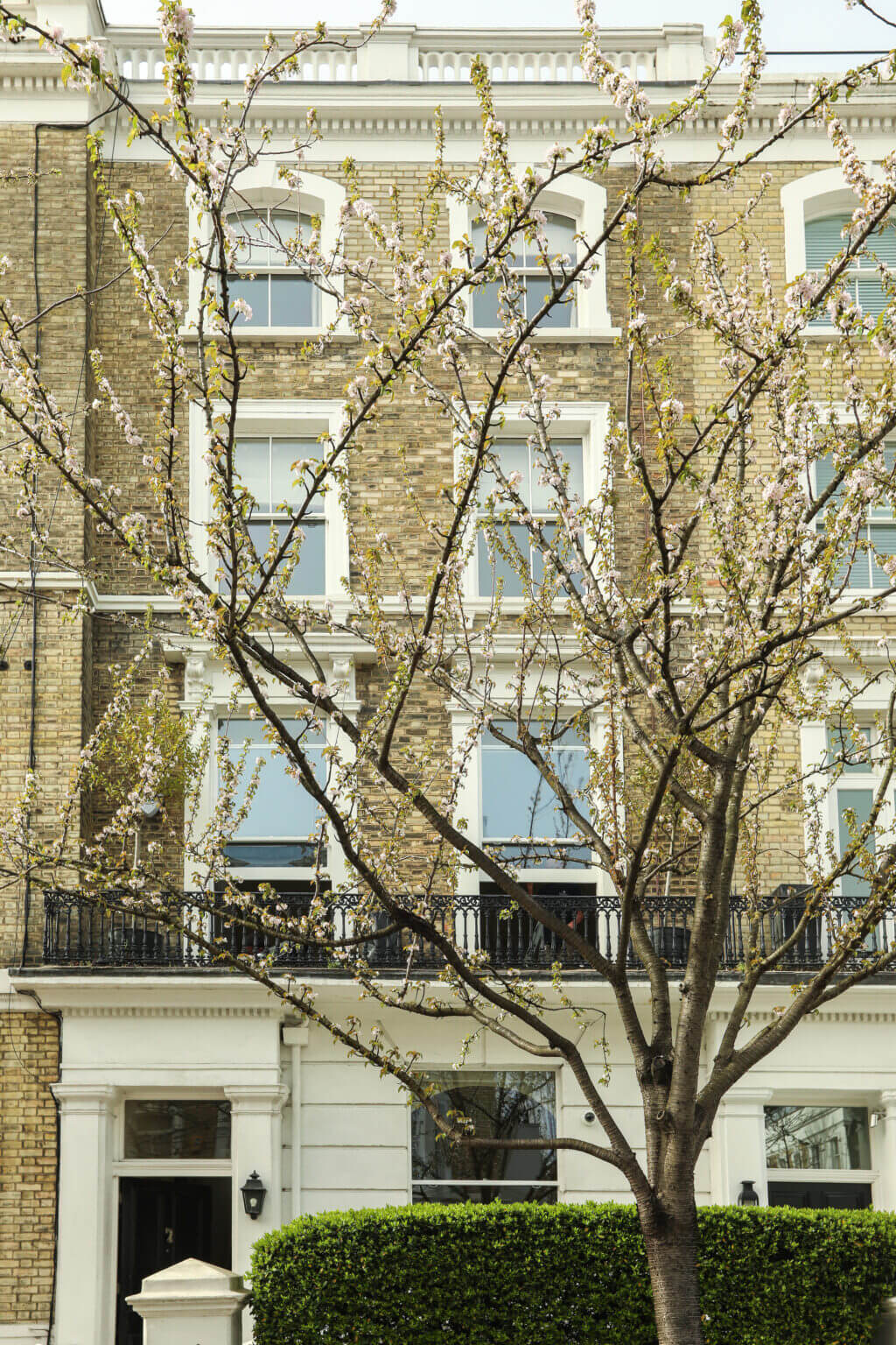 Cathcart Road SW10 Box Sash
