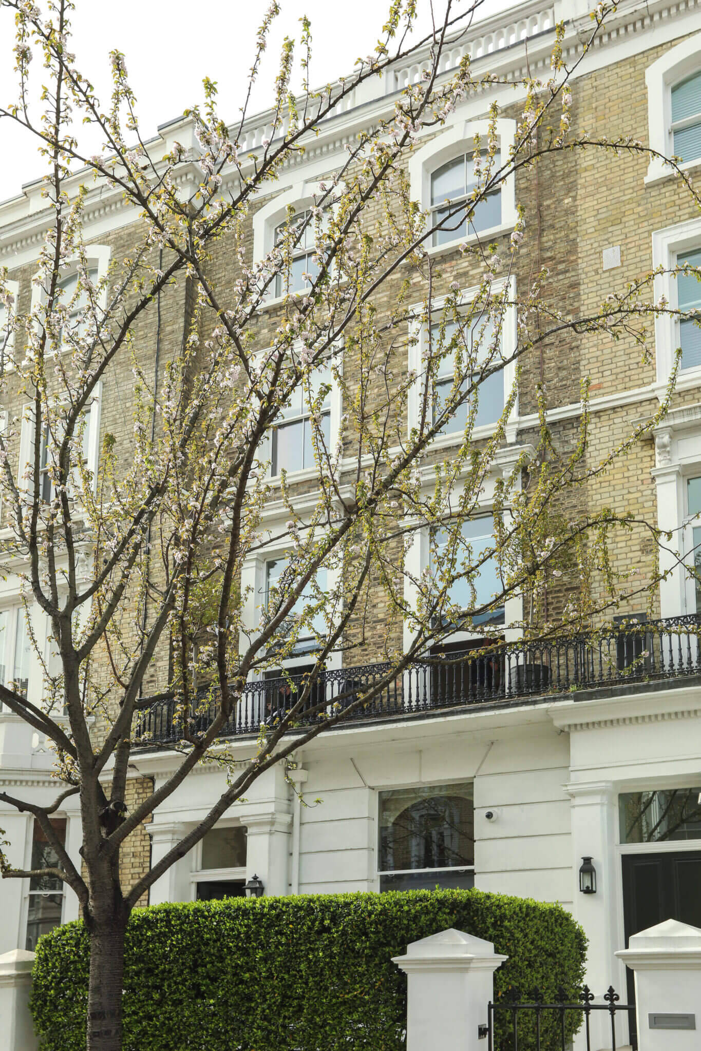 Cathcart Road SW10 Box Sash