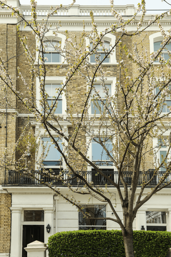 Spring Home Maintenance Tasks
